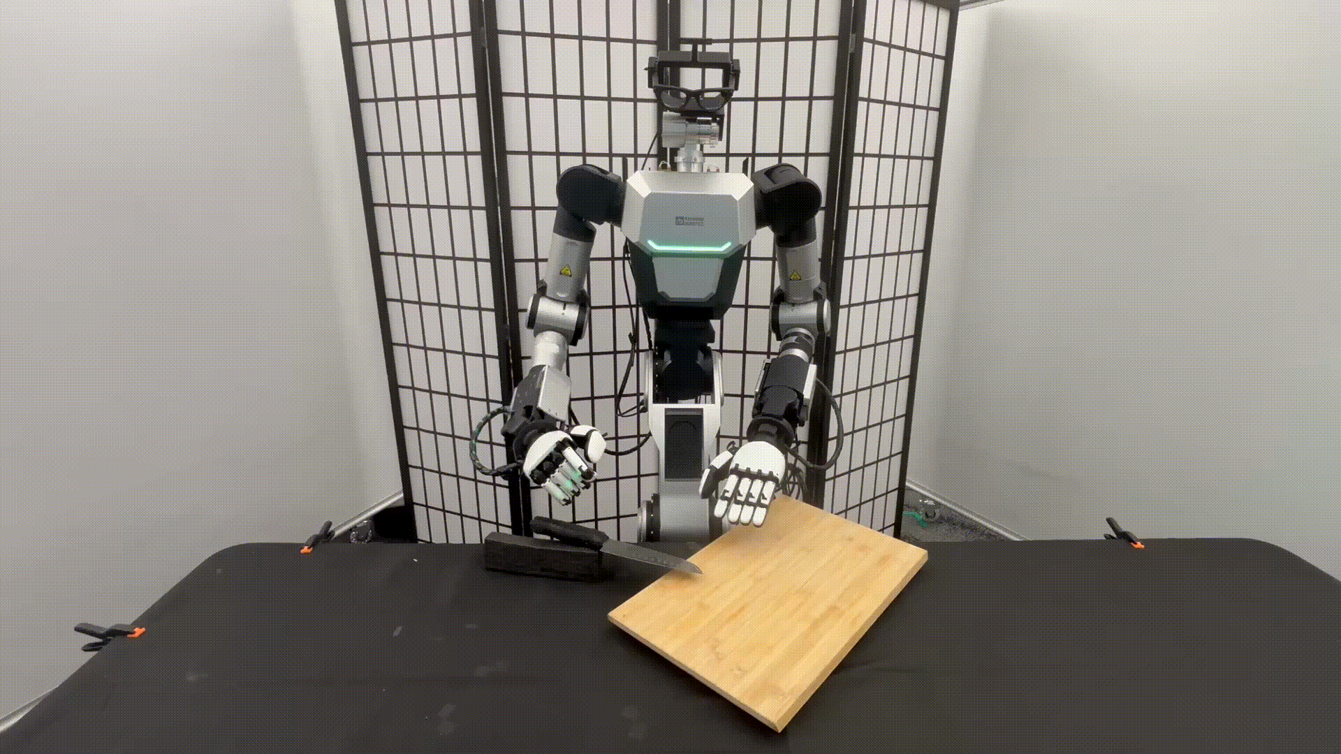 EgoEngine